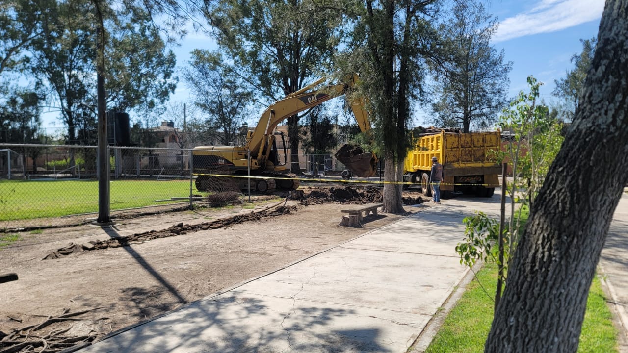Trabajos de rehabilitación de La Alameda
